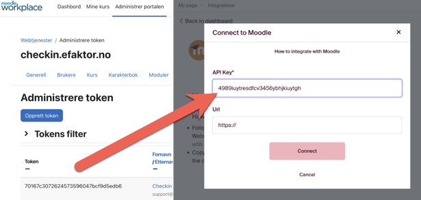 Legg til din API key