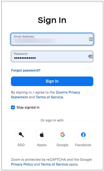 Sign in with your Zoom login details